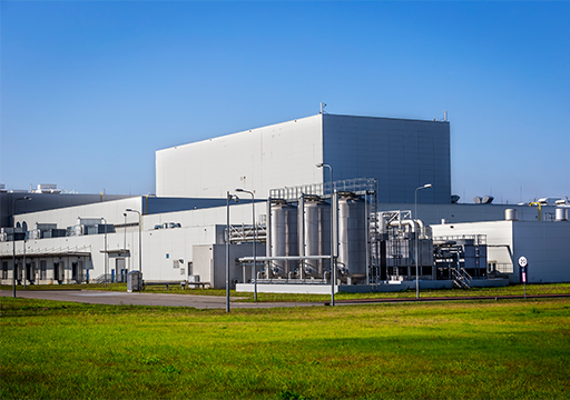 365速发国际(中国)官方网站